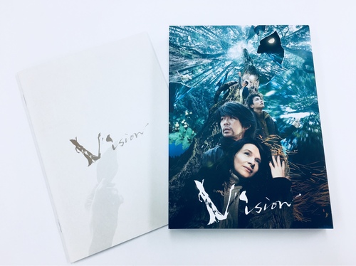 Vision_DVDのサムネイル画像