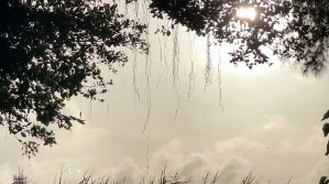 messageImage_1634956833259.png